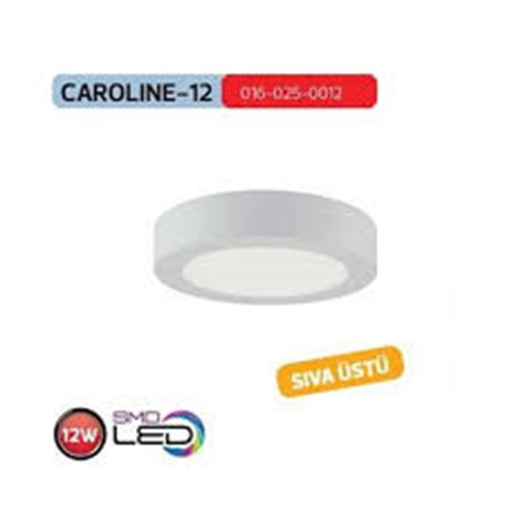 HOROZ 12W SIVA ÜSTÜ LED PANEL 6400K BEYAZ IŞIK CAROLINE-12 016 025 0012