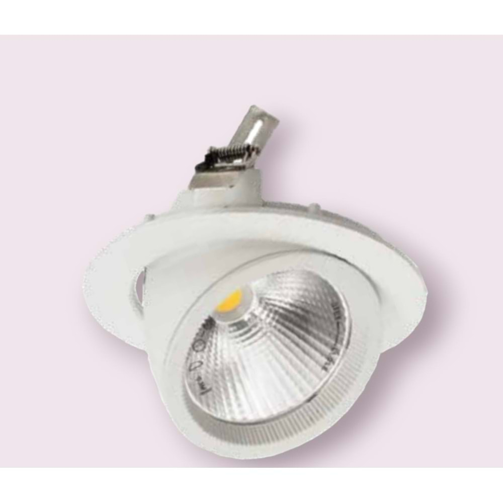 ACK AD36-00400 30W 3000K 2400LM BEYAZ KASA LED SALYANGOZ ARMATÜR