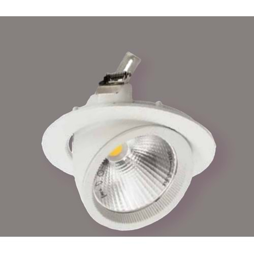 ACK AD36-00430 30W 6500K BEYAZ KASA LED SALYANGOZ ARMATÜR